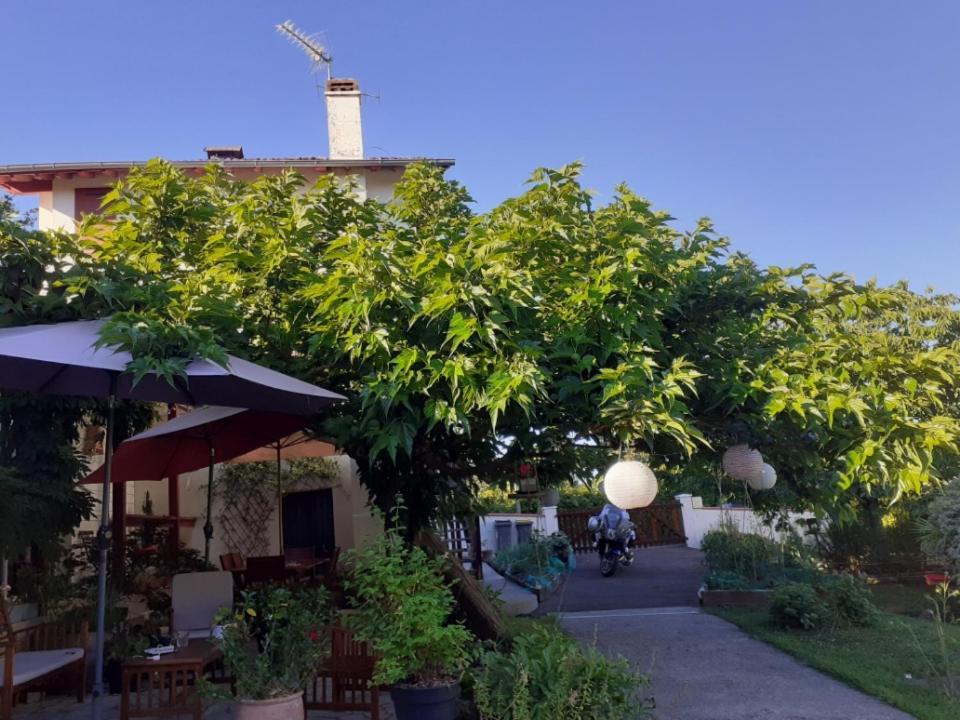 Au Bosquet, Chambre Et Salle De Bains Avec Petit Dejeuner A 600 M Du Centre Dans Un Cadre Calme Et Verdoyant Salies-de-Béarn Eksteriør bilde
