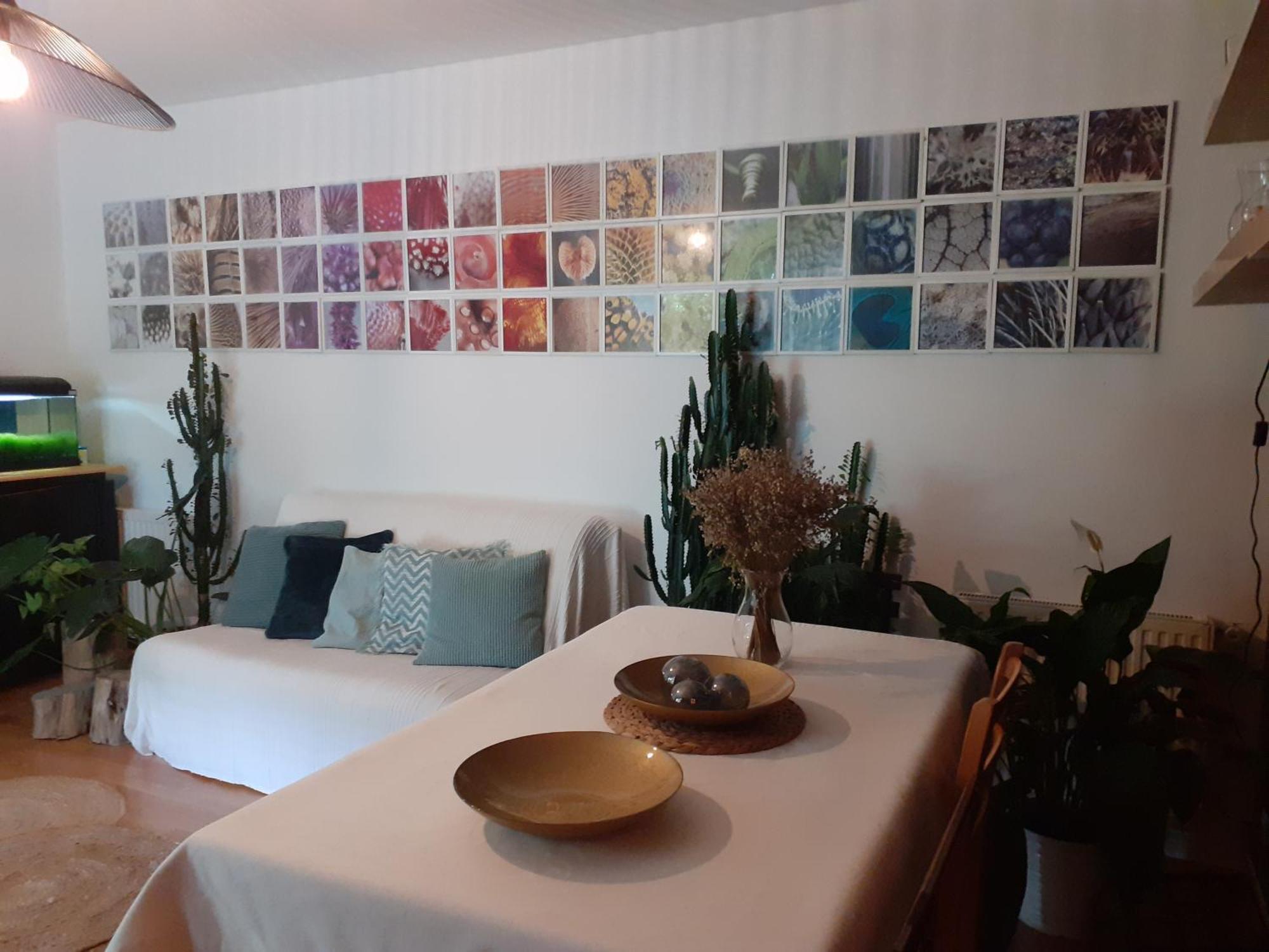Au Bosquet, Chambre Et Salle De Bains Avec Petit Dejeuner A 600 M Du Centre Dans Un Cadre Calme Et Verdoyant Salies-de-Béarn Eksteriør bilde